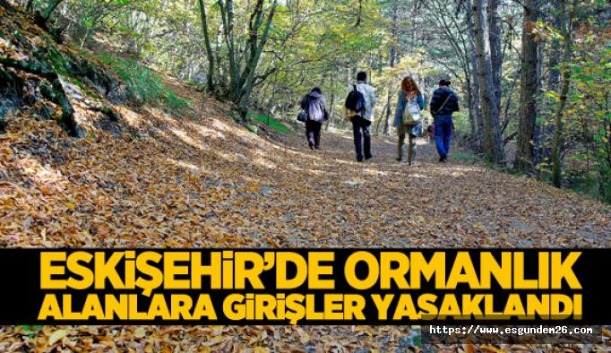 Eskişehir’de ormanlık alanlara girişler iki ay süreyle yasaklandı