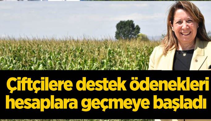 Emine Nur Günay: Eskişehir çiftçimize 46 Milyon 963 Bin 150 liralık tarımsal destekleme ödemesi başlıyor