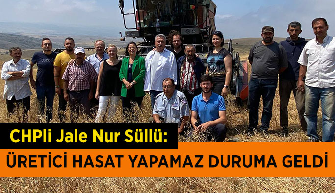 Süllü: Üretici hasat yapamaz duruma geldi