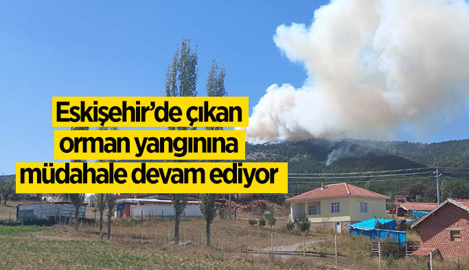 Eskişehir’de çıkan orman yangınına müdahale devam ediyor