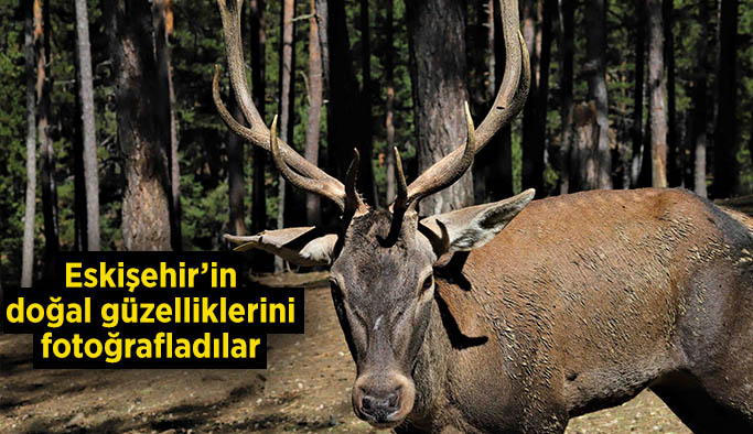 Eskişehir’in doğal güzelliklerini fotoğrafladılar