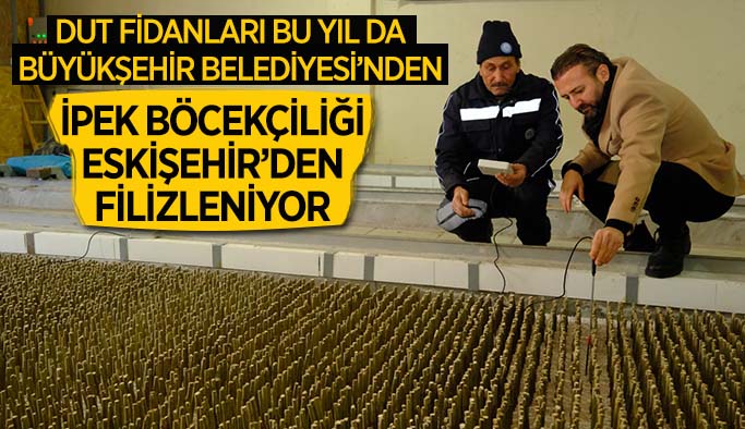 300 binden fazla dut fidanını üreticiyle buluştu