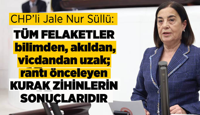 Süllü: Yaşanan felaketlere iklim krizinin etkileri, kader diyemeyiz.