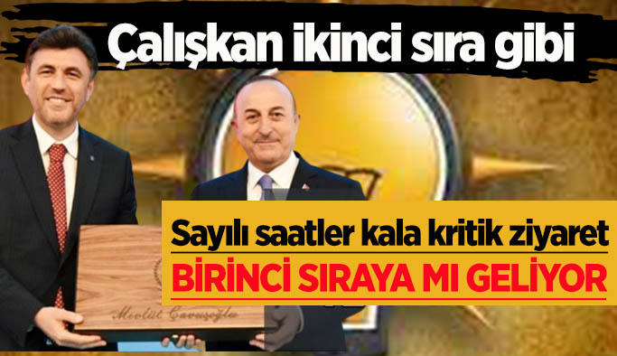 Bir Çavuşoğlu iki Çalışkan mı?