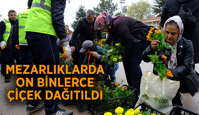 Mezarlıklarda on binlerce çiçek dağıtıldı