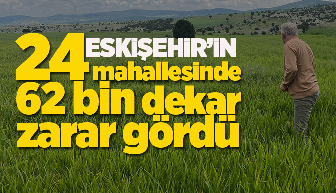 Eskişehir’de sel ve dolu tarım arazilerini vurdu
