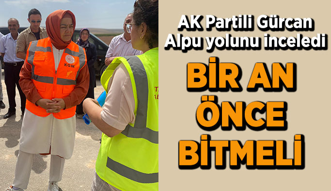 AK Partili Gürcan Alpu yolunu inceledi