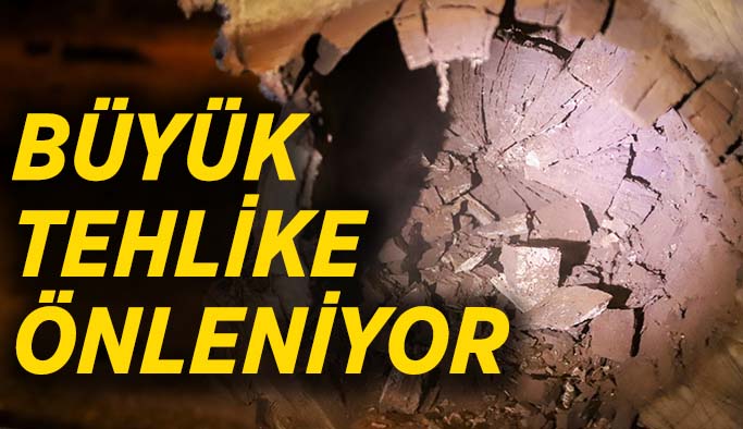 İçeri çürüyen ağaçlar sökülüyor sakuralar gelecek