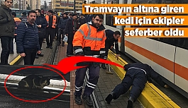 Tramvayın altına giren kedi için vatandaş seferber oldu