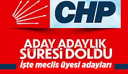 CHP’de meclis üyeliğinin tam listesi