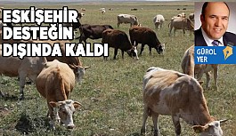 BİR KAYIP DAHA