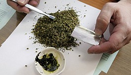 Esrar değil kekik kavgasında 1 kişi yaralandı