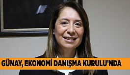 Ekonomide Günay’a danışılacak