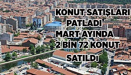 ESKİŞEHİR'DE  2017 MART AYINDA 2 BİN 72 KONUT SATILDI