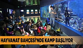 HAYVANAT BAHÇESİ’NDE KAMP BAŞLIYOR