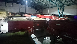 İnönülü çiftçilerin ürünleri koruma altında
