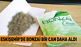 ESKİŞEHİR'DE BONZAİ BİR CAN DAHA ALDI