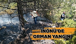 İNÖNÜ’DE ORMAN YANGINI