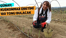 PROF. DR. GÜNAY: KUŞKONMAZ ÜRETİMi 180 TONU BULACAK