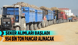 954 BİN TON PANCAR ALINACAK