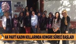 AK PARTİ KADIN KOLLARINDA KONGRE SÜRECİ BAŞLADI