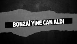 BONZAİ YİNE CAN ALDI