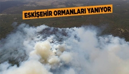 ESKİŞEHİR'DE ORMAN YANGINI