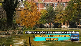 DÜNYANIN DÖRT BİR YANINDAN BİTKİLER ‘ANADOLU ARBORETUM’DA  BULUŞTU