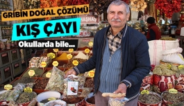 GRİBİN DOĞAL ÇÖZÜMÜ KIŞ ÇAYI