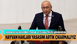 Can yoldaşlarımız için hayvan hakları yasasını artık çıkarmalıyız