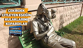 Çekirdek çitleyen eşeğin kulaklarını kopardılar