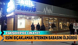 Eşini bıçaklamak isterken babasını öldürdü