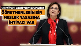 ÖĞRETMENLERİN BİR MESLEK YASASINA İHTİYACI VAR