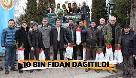 10 bin fidan dağıtıldı