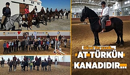 AT TÜRKÜN KANADIDIR…