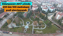 Odunpazarı 2017 yılında 205 bin 100 metrekare yeşil alan kazandı