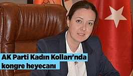 AK Parti Kadın Kolları'nda Kongre Heyecanı