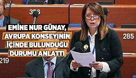 GÜNAY, AVRUPA KONSEYİNİN İÇİNDE BULUNDUĞU DURUMU ANLATTI