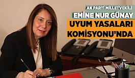 PROF. DR. GÜNAY UYUM YASALARI KOMİSYONUNDA