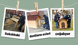 Sokaktaki dostların evleri çoğalıyor