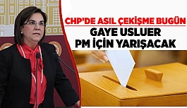 GAYE USLUER, CHP PARTİ MECLİSİ İÇİN YARIŞACAK