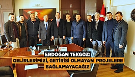 TEKGÖZ: GELİRLERİMİZİ, GETİRİSİ OLMAYAN  PROJELERE BAĞLAMAYACAĞIZ