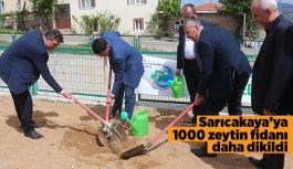 Sarıcakaya’ya 1000 zeytin fidanı dikildi