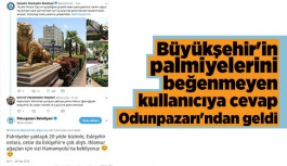 Büyükşehir'in palmiyelerini beğenmeyen kullanıcıya cevap Odunpazarı'ndan geldi