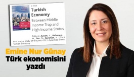 Emine Nur Günay, Türk ekonomisini yazdı