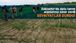 Eskişehir'de dolu tarım alanlarına zarar verdi