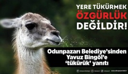 ODUNPAZARI BELEDİYE’SİNDEN YAVUZ BİNGÖL’E ‘TÜKÜRÜK’ YANITI