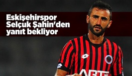 Eskişehirspor Selçuk Şahin'den yanıt bekliyor
