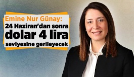 Günay: 24 Haziran'dan sonra dolar 4 lira seviyesine gerileyecek