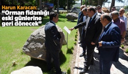 Karacan:Orman fidanlığı edski günlerine geri dönecek